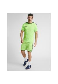 Jersey Hummel hmlAUTHENTIC Poly HML. Kolor: zielony. Materiał: jersey. Sport: fitness, piłka nożna