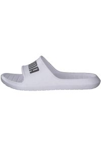 Klapki męskie Puma Divecat V2 Lite. Kolor: biały. Materiał: materiał, syntetyk. Styl: sportowy