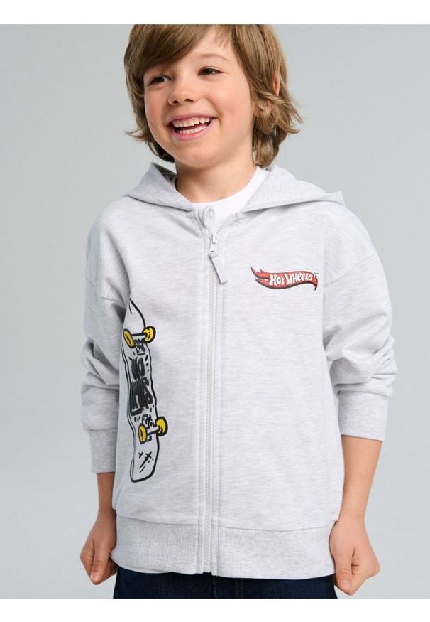 Sinsay - Bluza Hot Wheels - szary. Kolor: szary