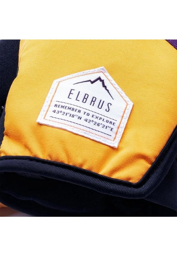 Elbrus - Rękawice Narciarskie Damskie Pointe. Kolor: fioletowy, wielokolorowy, żółty. Sezon: zima. Sport: narciarstwo