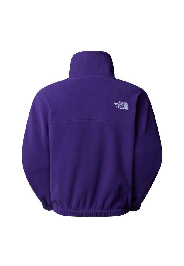 The North Face Polar 100 Glacier Half Zip Fleece Nf0A89J9Nl4. Kolor: fioletowy. Materiał: polar