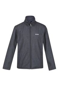 Regatta - Męski Softshell Cera V. Kolor: szary. Materiał: softshell. Sport: turystyka piesza #1