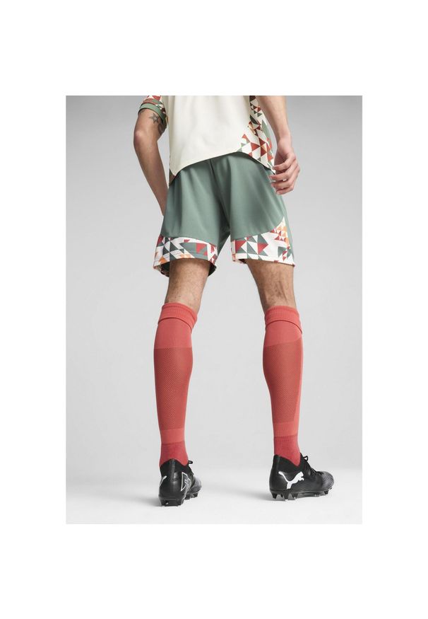Puma - Męskie szorty Palermo F.C. 24/25 PUMA Eucalyptus Green. Kolor: biały, wielokolorowy, zielony
