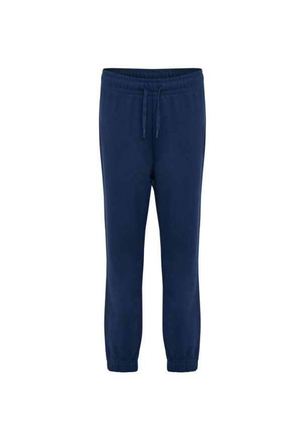 Spodnie dresowe dla dzieci Hummel Base Regular. Kolor: niebieski. Materiał: dresówka. Sport: bieganie