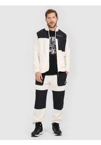 4f - 4F Spodnie polarowe joggery męskie - beżowe XXL. Kolor: beżowy. Materiał: polar #1