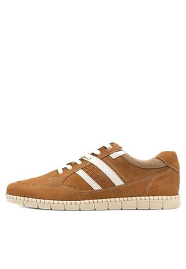 Sergio Bardi Sneakersy HAVANA-39 MI07 Brązowy. Kolor: brązowy. Materiał: skóra
