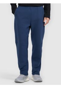 4f - 4F Spodnie dresowe męskie - granatowe L. Kolor: niebieski. Materiał: dresówka #2