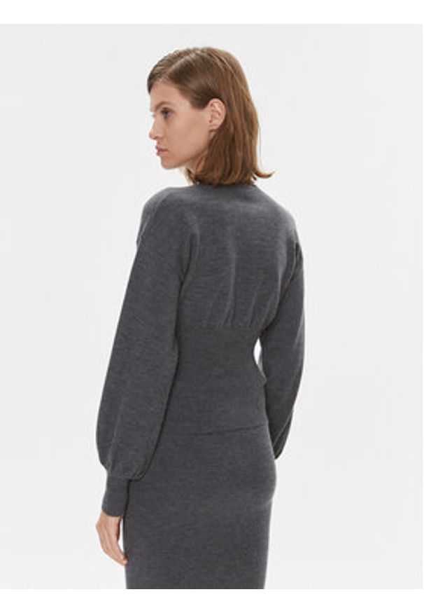 Pinko Sweter Chioccia 101848 A15S Szary Regular Fit. Kolor: szary. Materiał: wełna