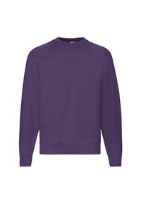 FRUIT OF THE LOOM - Męska Klasyczna Bluza Raglanowa. Kolor: fioletowy. Długość rękawa: raglanowy rękaw
