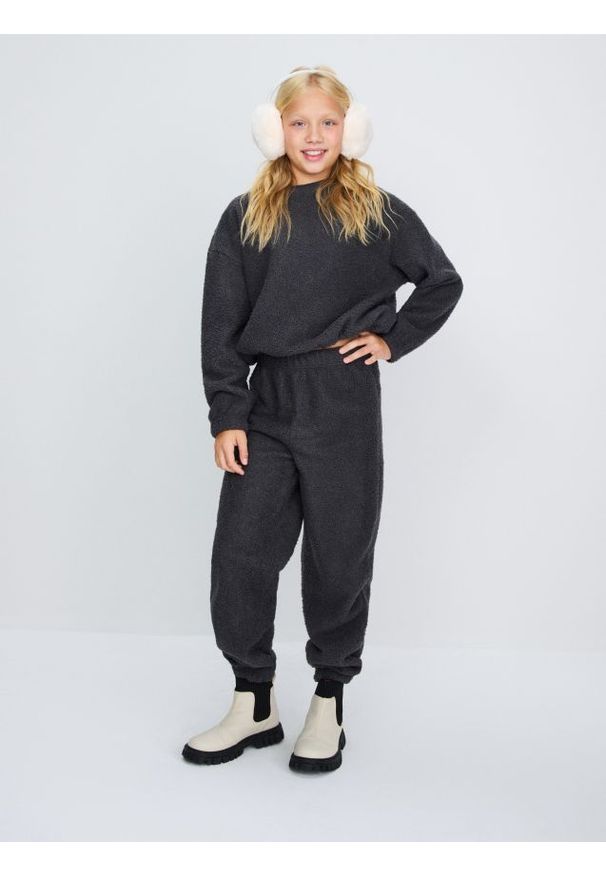 Sinsay - Spodnie jogger z imitacji baranka - szary. Kolor: szary