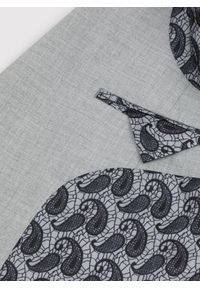 Pako Lorente - PAKO LORENTE – Męska jasnoszara marynarka garniturowa. Kolor: szary. Materiał: tkanina. Styl: klasyczny #4