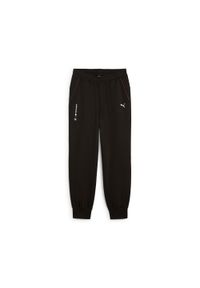 Spodnie do biegania Puma BMW MMS Essentials+ Fleece. Kolor: czarny. Materiał: polar. Sport: fitness