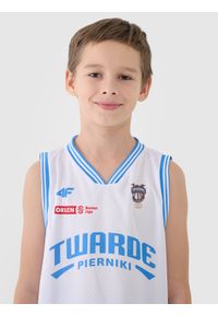 4f - 4F Koszulka meczowa replika domowa z sezonu 2024/25 dziecięca 4F x PLK - Twarde Pierniki Toruń - multikolor 146/152 (10-12 lat). Typ kołnierza: dekolt w serek. Kolor: wielokolorowy. Materiał: dzianina, włókno, materiał, syntetyk. Wzór: aplikacja, gładki, nadruk, ze splotem. Sezon: lato. Sport: koszykówka, fitness