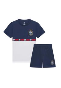Francja FFF Strój. Kolor: niebieski, wielokolorowy, biały. Materiał: poliester. Sport: piłka nożna