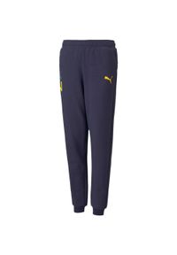 Spodnie dla dzieci Puma Neymar Jr Hero granatowe 605547 06. Kolor: wielokolorowy. Sport: joga i pilates #1