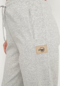 Born2be - Jasnoszare Bawełniane Spodnie Dresowe o Kroju Jogger Falorwena. Okazja: na co dzień. Kolor: szary. Materiał: bawełna, dresówka. Styl: klasyczny, casual