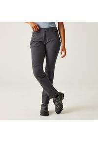 Regatta - Damskie spodnie turystyczne Highton Stretch szare. Kolor: szary. Materiał: poliamid, elastan. Sport: turystyka piesza