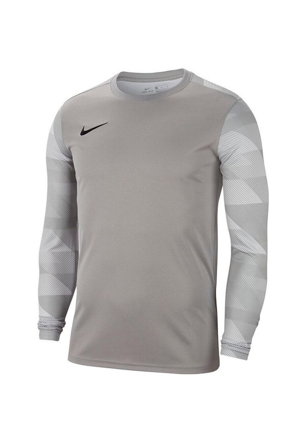 Bluza bramkarska męska Nike Dry Park IV JSY LS GK. Kolor: szary