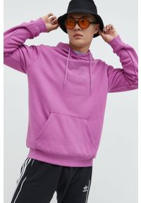 adidas Originals bluza bawełniana męska kolor różowy z kapturem z nadrukiem. Typ kołnierza: kaptur. Kolor: różowy. Materiał: bawełna. Wzór: nadruk