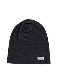 ALPINE PRO - Czapka turystyczna wełna merino 100% Alpine Pro Bedade. Kolor: czarny. Materiał: wełna. Styl: casual, sportowy