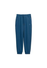 PITBULL - Spodnie męskie Pitbull Lancaster 2 Track Pants. Kolor: niebieski. Sport: fitness
