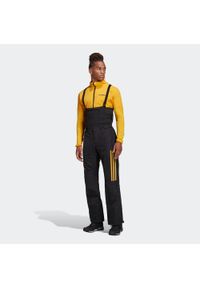 Spodnie trekingowe męskie Adidas Terrex Skychaser GORE-TEX PRO czarne. Kolor: czarny. Technologia: Gore-Tex #1
