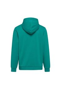 Diadora - Bluza męska DIADORA HOODIE BIG LOGO. Kolor: niebieski #2