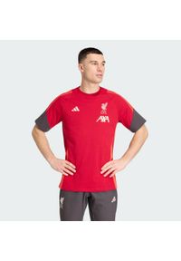 Adidas - Koszulka Liverpool FC Tiro 25 Competition Cotton. Kolor: czerwony. Materiał: bawełna. Sport: piłka nożna #1