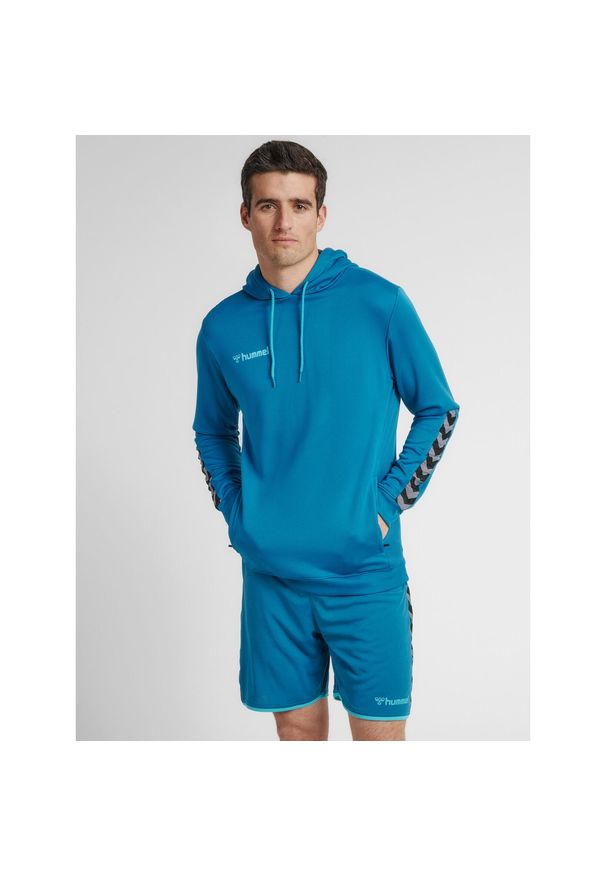 Bluza do piłki ręcznej męska Hummel hml AUTHENTIC Poly. Kolor: wielokolorowy, niebieski, turkusowy. Sport: fitness