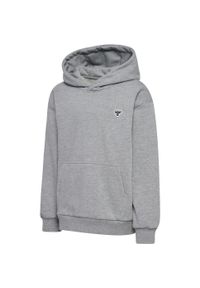 Bluza z kapturem dla dzieci Hummel Bee. Typ kołnierza: kaptur. Kolor: szary #2