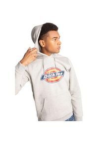 Bluza dresowa męska Dickies San Antonio. Kolor: szary. Materiał: dresówka