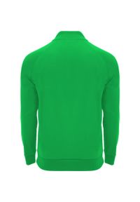 ROLY - Bluza Z Długim Rękawem Dla Dorosłych Unisex Epiro Quarter Zip. Kolor: zielony. Długość rękawa: długi rękaw. Długość: długie