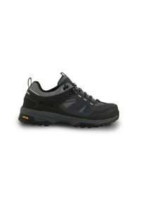 Regatta - Buty damskie trekkingowe niskie z membraną Regen Vibram. Kolor: szary. Szerokość cholewki: normalna. Styl: sportowy