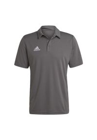 Koszulka polo do piłki nożnej męska Adidas Entrada 22 Polo z krótkim rękawem. Typ kołnierza: polo. Kolor: szary. Długość rękawa: krótki rękaw. Długość: krótkie. Sport: piłka nożna