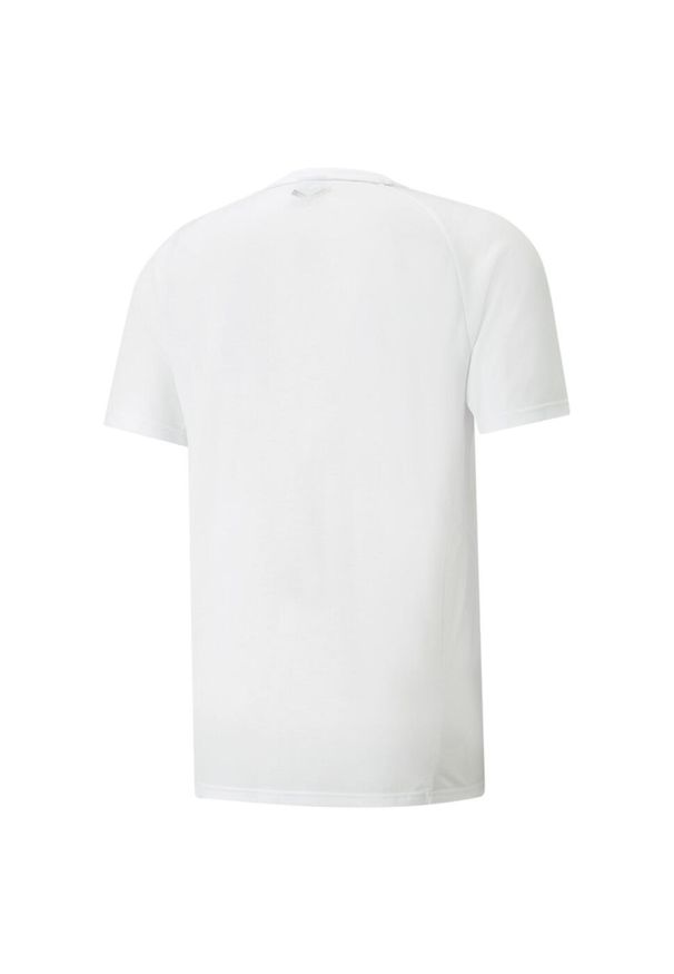 Podkoszulek Puma Teamfinal Casuals Tee, Mężczyźni. Kolor: biały