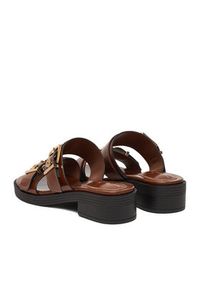 Beverly Hills Polo Club Klapki CEO-HY7006-1 Brązowy. Kolor: brązowy. Materiał: materiał #8