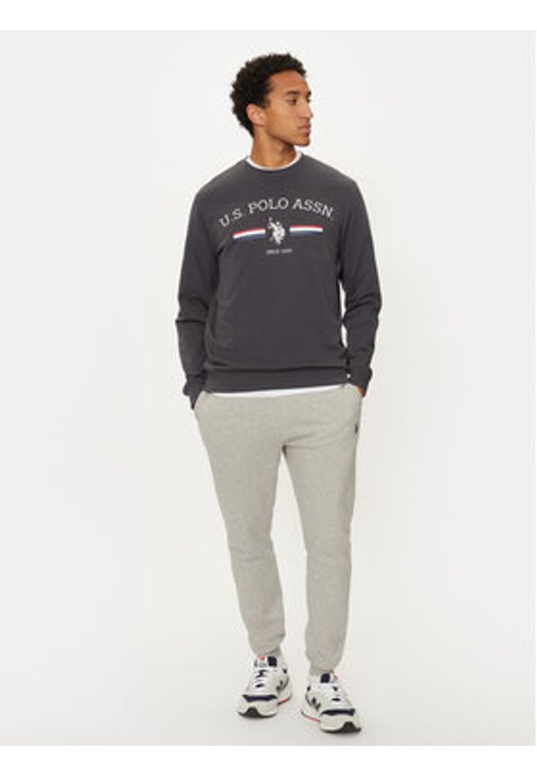 U.S. Polo Assn. Bluza MUP1660 Szary Regular Fit. Typ kołnierza: polo. Kolor: szary. Materiał: bawełna