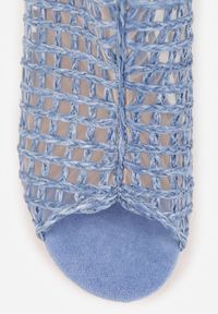 Renee - Niebieskie Siateczkowe Botki Vices na Słupku Sovhira. Okazja: na imprezę, na co dzień. Kolor: niebieski. Materiał: materiał. Sezon: lato. Obcas: na słupku. Styl: casual, elegancki #3