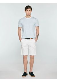 Big-Star - Koszulka męska w paski błękitna Oler 400. Okazja: na co dzień. Kolor: niebieski. Materiał: dzianina. Wzór: paski. Styl: elegancki, klasyczny, casual #1