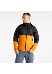 DARE 2B - Męska kurtka hybrydowa Descending II. Kolor: czarny. Materiał: poliester, materiał, puch. Sport: turystyka piesza #1