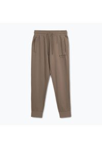 PITBULL - Spodnie męskie Pitbull Sampson Track Pants. Kolor: brązowy