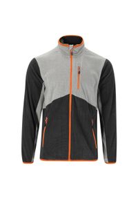 Polar męski Whistler Greyson. Kolor: szary. Materiał: polar. Sport: turystyka piesza