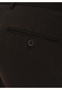 Pako Lorente - PAKO LORENTE – Brązowe spodnie garniturowe. Okazja: na spotkanie biznesowe. Kolor: brązowy. Materiał: poliester, wełna. Styl: biznesowy #3