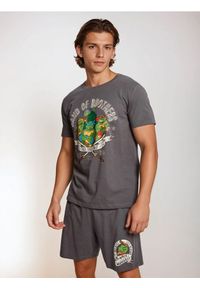 Sinsay - Bawełniana piżama dwuczęściowa z nadrukiem Teenage Mutant Ninja Turtles - szary. Kolor: szary. Materiał: bawełna. Wzór: nadruk #1
