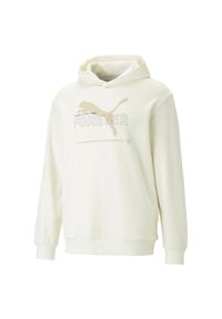 Bluza sportowa męska Puma 67329399. Typ kołnierza: kaptur. Kolor: wielokolorowy, biały