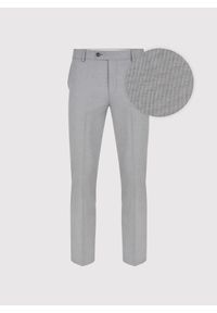 Pako Lorente - Szare spodnie ganiturowe. Kolor: szary. Materiał: poliester, elastan, wiskoza. Wzór: gładki. Sezon: wiosna, lato