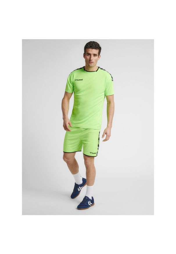 Hummel Koszulka sportowa męska T-shirt Authentic Poly Jersey. Kolor: zielony. Materiał: jersey. Sport: fitness, piłka nożna