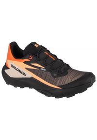 salomon - Buty do biegania męskie Salomon Genesis. Kolor: żółty, pomarańczowy, wielokolorowy. Materiał: materiał, syntetyk. Szerokość cholewki: normalna