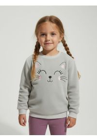 Sinsay - Bluza crewneck z haftem - szary. Kolor: szary. Wzór: haft #1