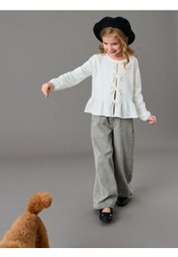 Sinsay - Klasyczne jeansy wide leg - szary. Kolor: szary. Styl: klasyczny